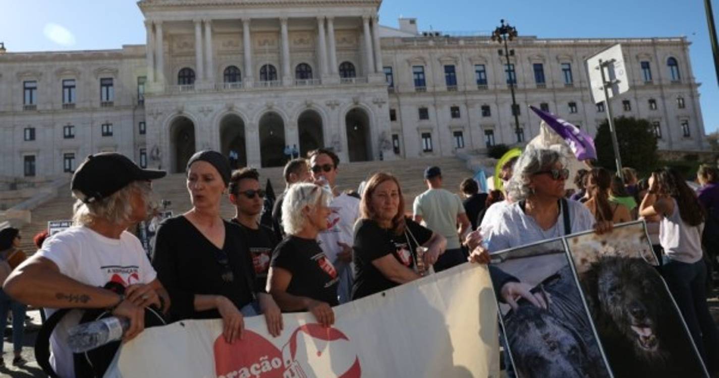 Marcha pelos direitos dos animais juntou meio milhar de pessoas em Lisboa