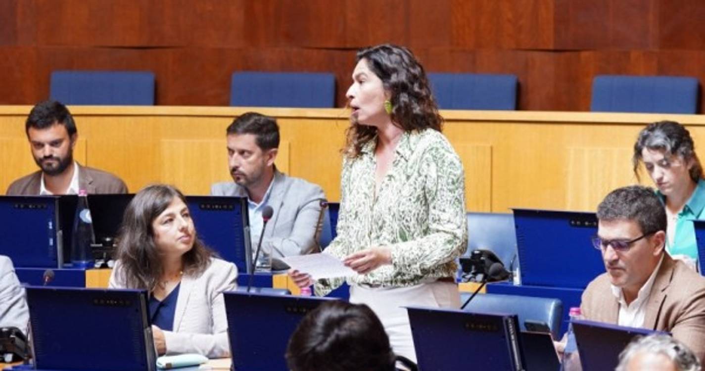 &#34;Estatuto de baixa densidade territorial mal aproveitado&#34;, considera Sílvia Silva