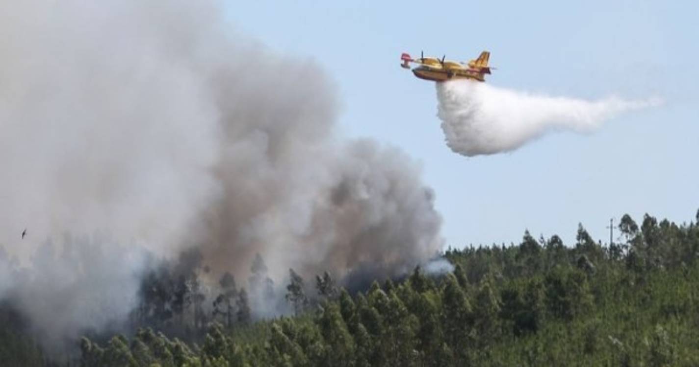 Meio aéreo e 44 operacionais combatem fogo em Montemor-o-Novo