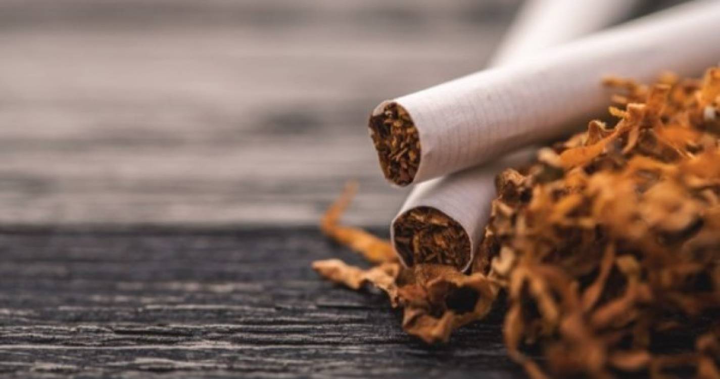 OMS denuncia que países cultivam tabaco onde as pessoas morrem à fome