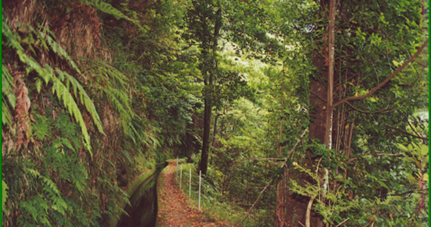 Exposição 'Levadas da Madeira' em itinerância pela ilha no âmbito da candidatura à UNESCO