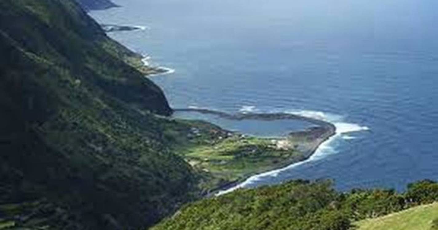 Apoio de 3,4 ME para redução voluntária de leite abrangeu 529 agricultores açorianos