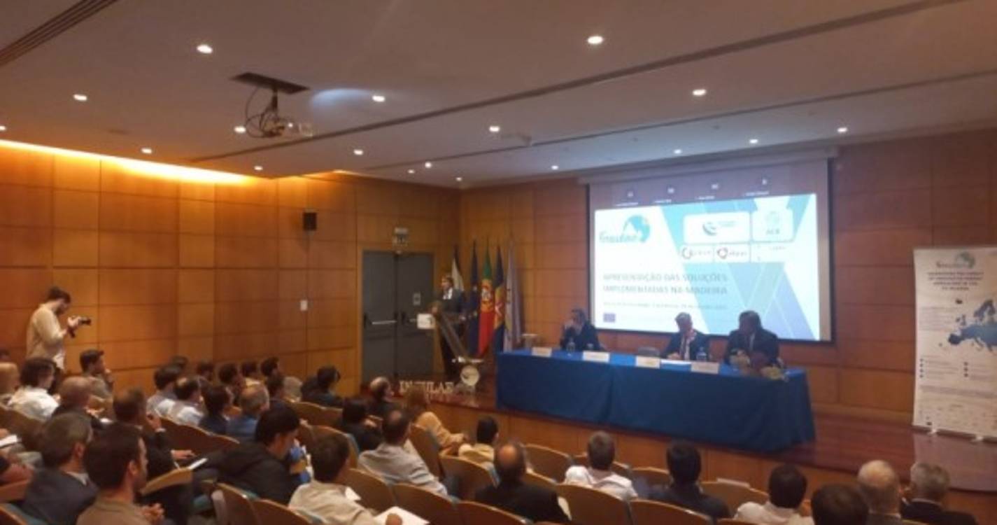 Energia: Madeira recebe projeto piloto das RUP