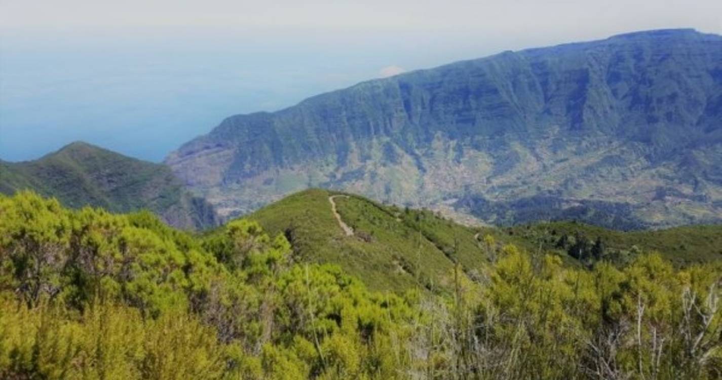 Ginjas: Nove organizações apontam "falhas e erros graves" ao estudo de impacto ambiental