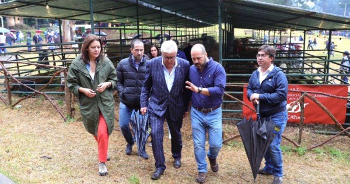 PS promete apoio aos criadores de gado da Região