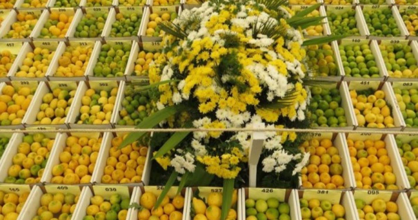 XIX edição da Exposição Regional do Limão decorre online entre 17 e 18 de abril