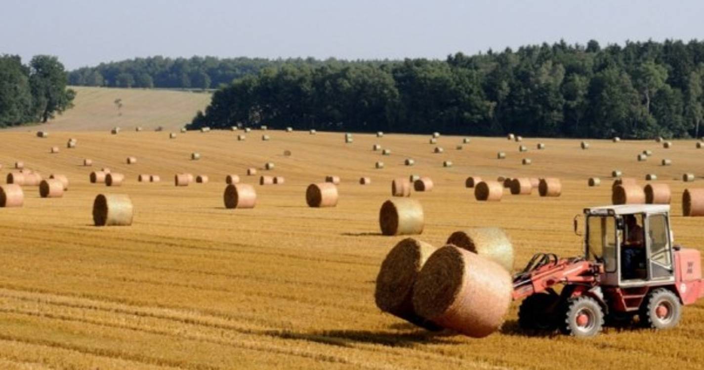 Um morto em acidente de trator em Mirandela