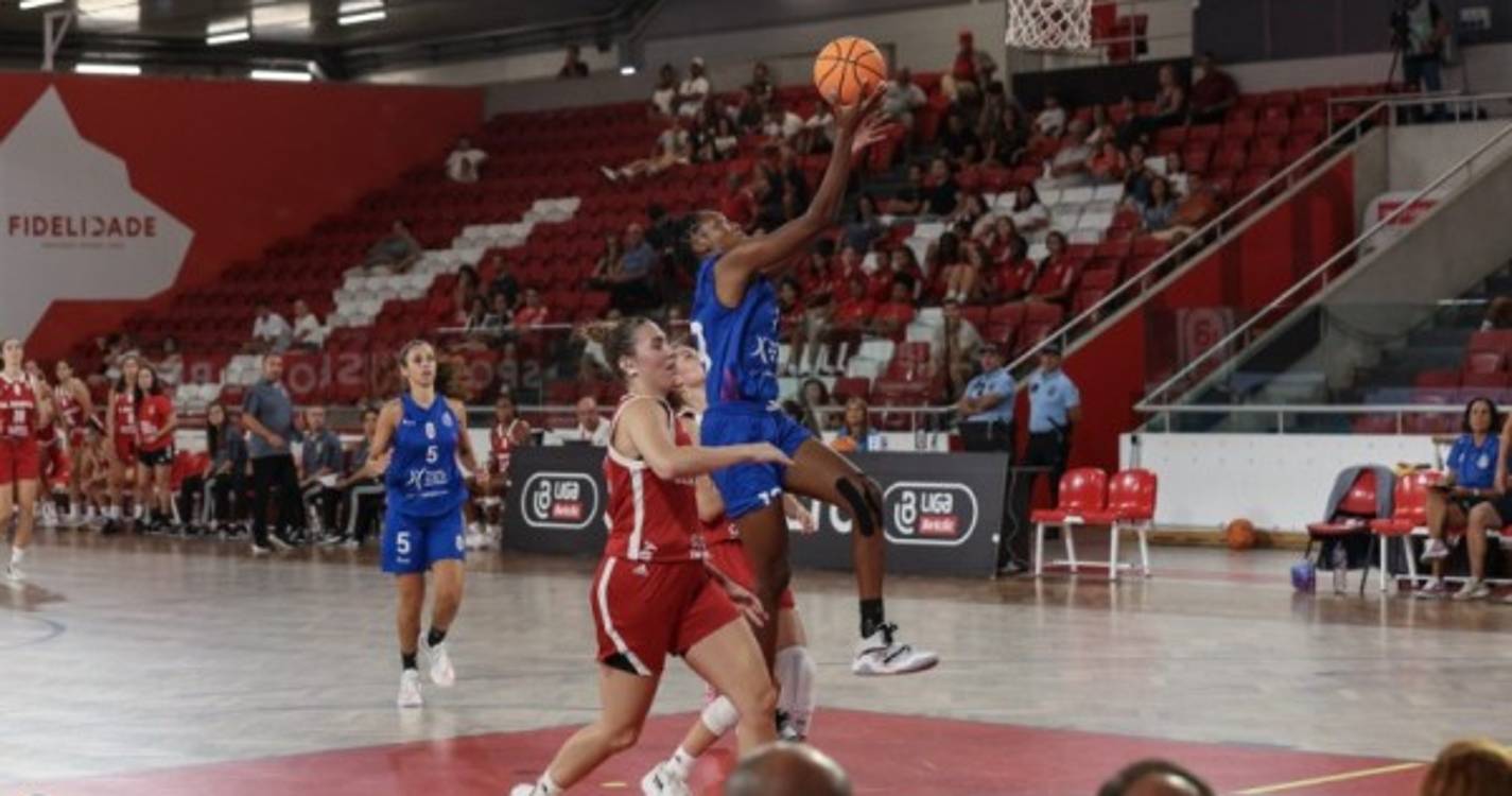Basquetebol: Francisco Franco vence Benfica e CAB derrota Ferragudo