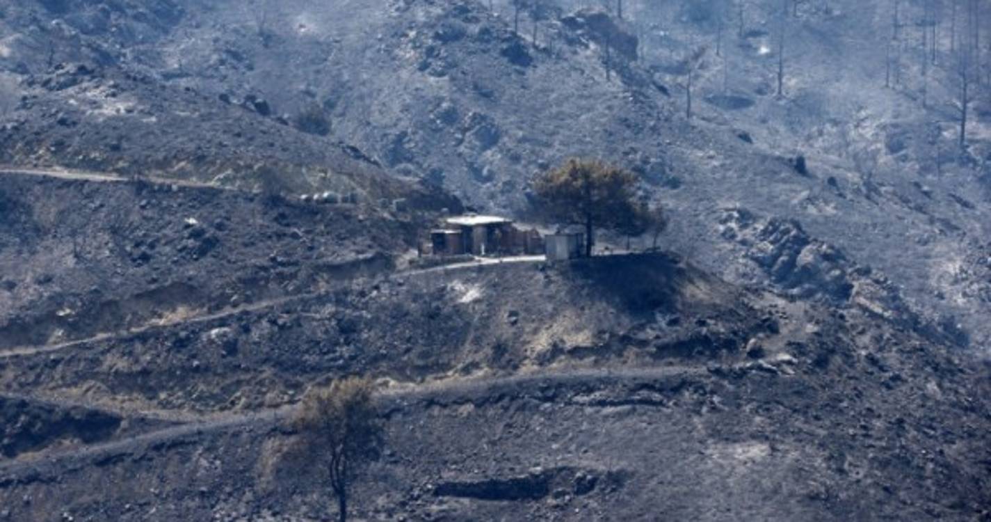 Incêndio que devastou área florestal no Chipre está sob controlo
