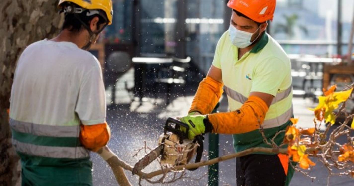 CMF interrompe circulação rodoviária na Estrada Monumental no troço entre o Arieiro e a Estrada da Vitória