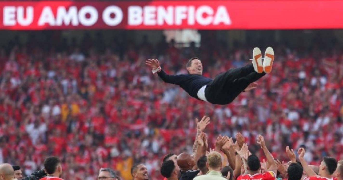 Benfica campeão: Seis detidos por tentarem vender bilhetes entre 100 e 500 euros