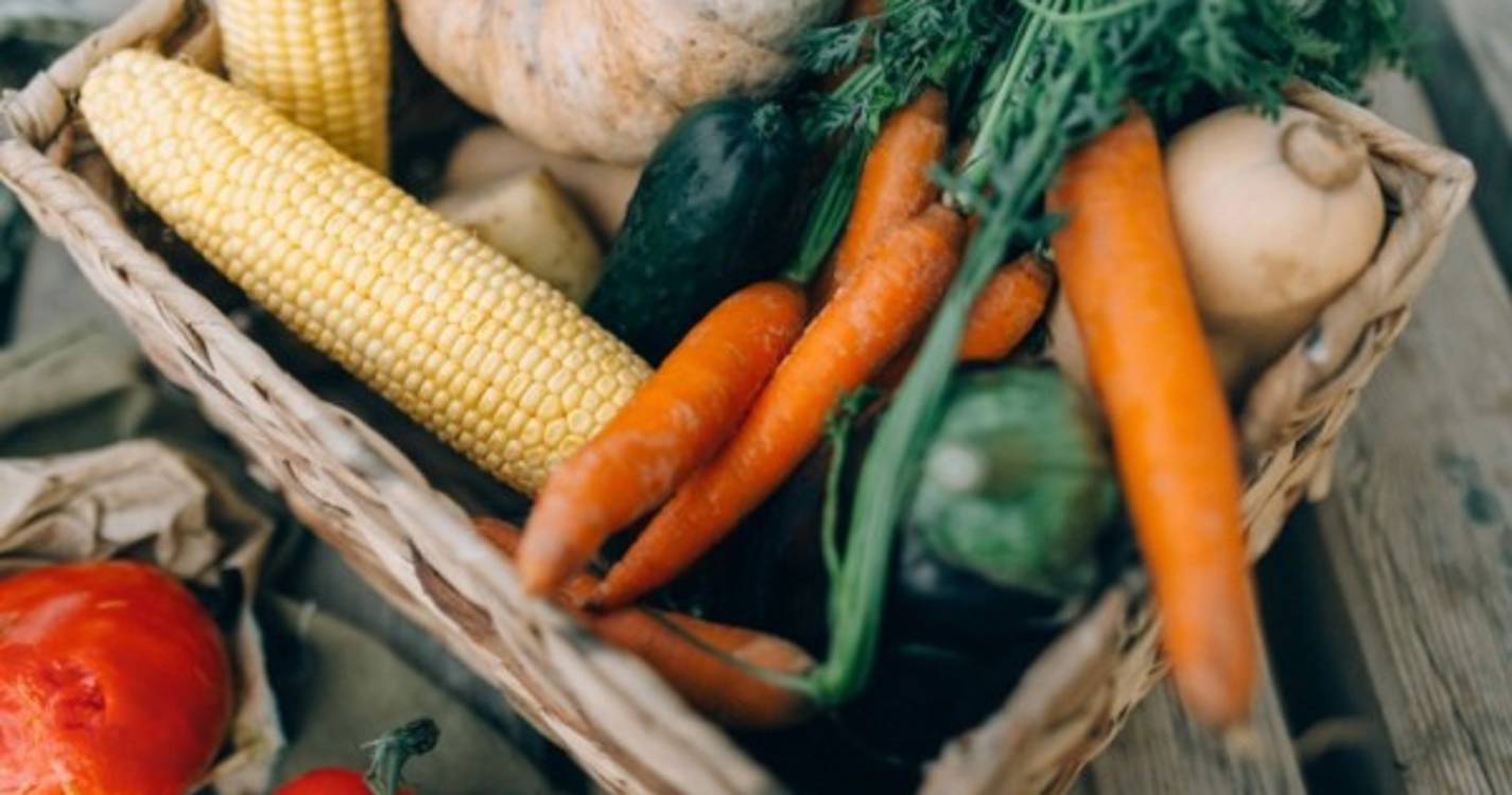 Cerca de 40% dos alimentos cultivados não são consumidos