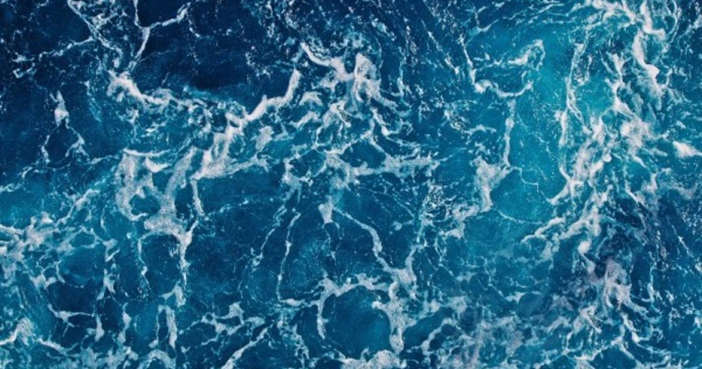 Oceanos: Investigadores vão entregar ao Governo avaliação das Áreas Marinhas Protegidas portuguesas