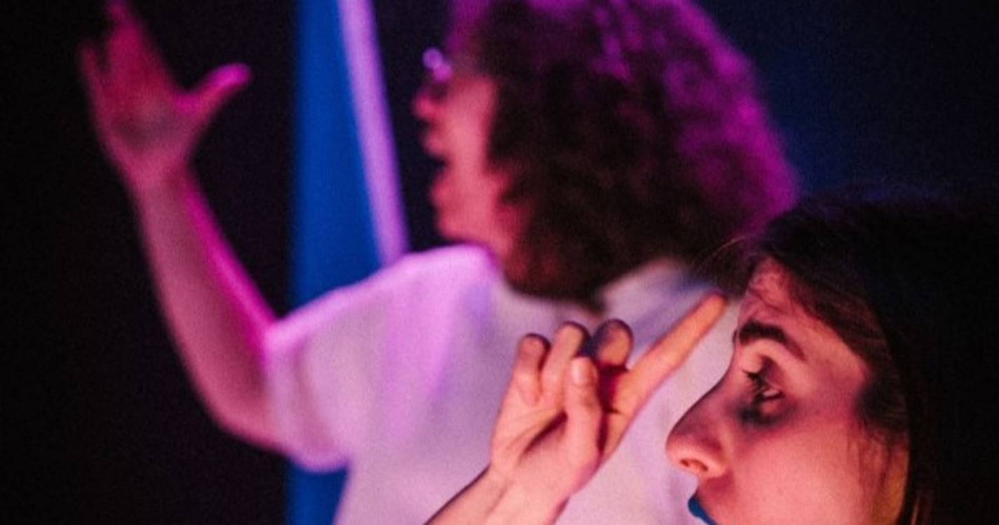 Língua Gestual Portuguesa em destaque no Teatro Municipal Baltazar Dias