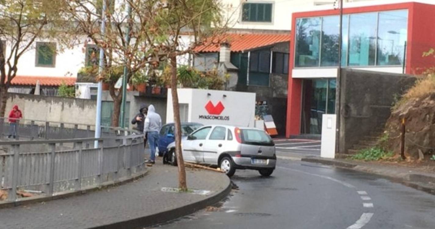 Despista-se e bate contra árvore na descida de Santa Rita