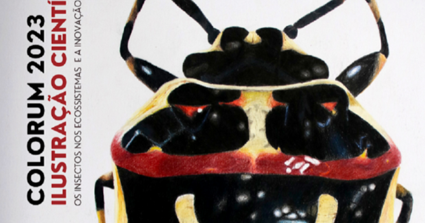 Alunos da Francisco Franco expõem ilustrações de insetos na Universidade da Madeira