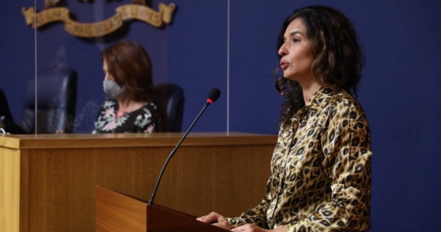 Recusa da audição a Humberto Vasconcelos leva PS a questionar Direção Regional de Agricultura sobre 'banana em conversão'