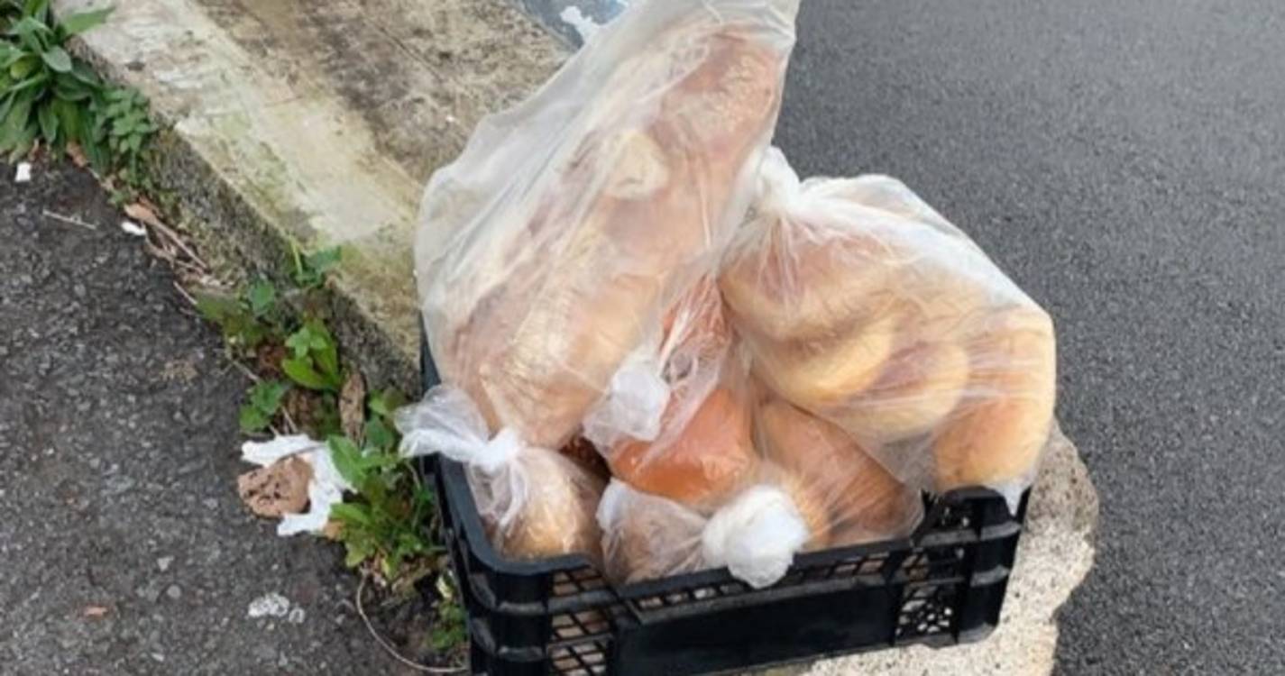 Padaria em Gaula doa pão fresco a quem mais precisa