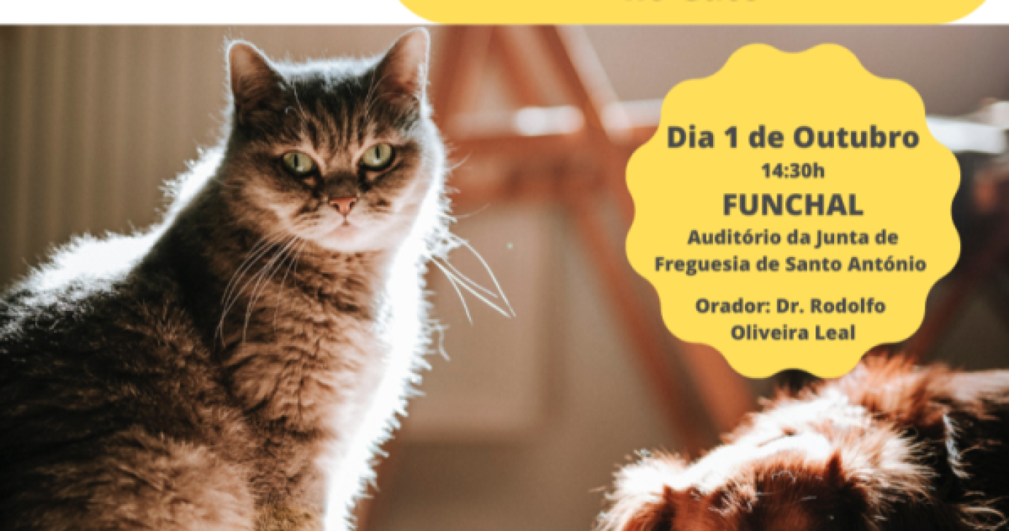 APMVEAC com formação na Madeira sobre doenças endócrinas no Cão e no Gato