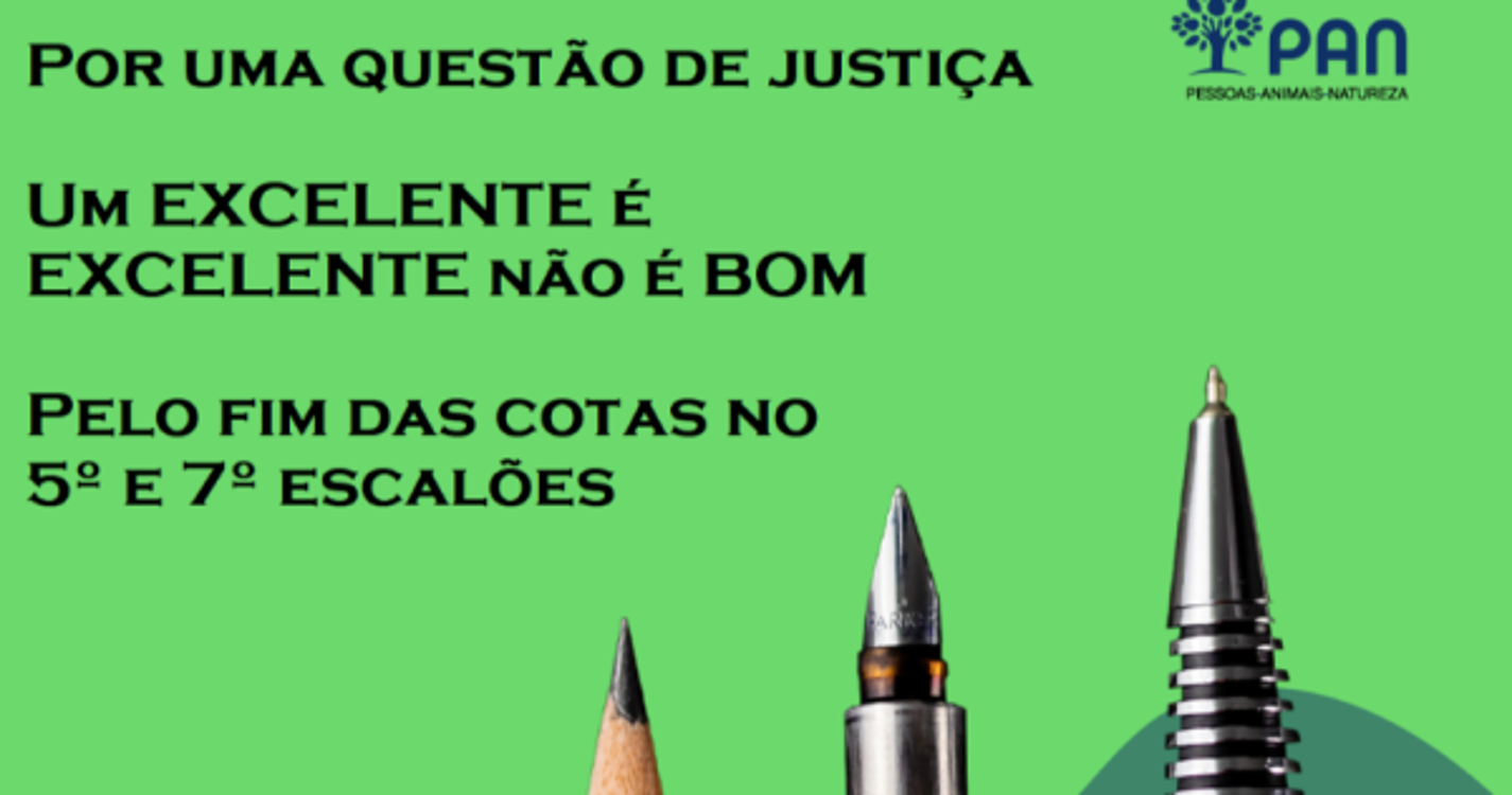 PAN Madeira preocupado com futuro da escola pública