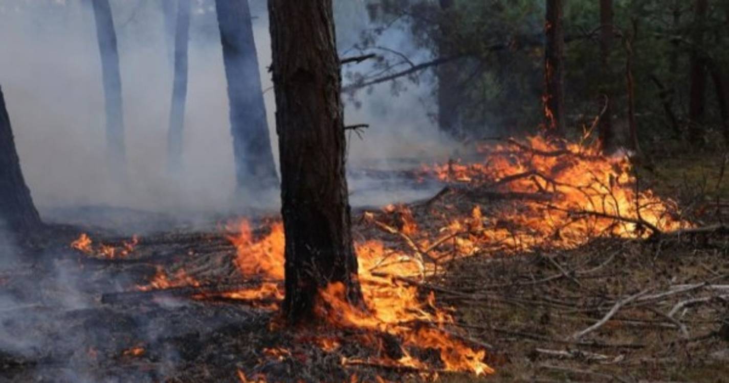 Incêndios: Mais de 80 concelhos de nove distritos em perigo máximo