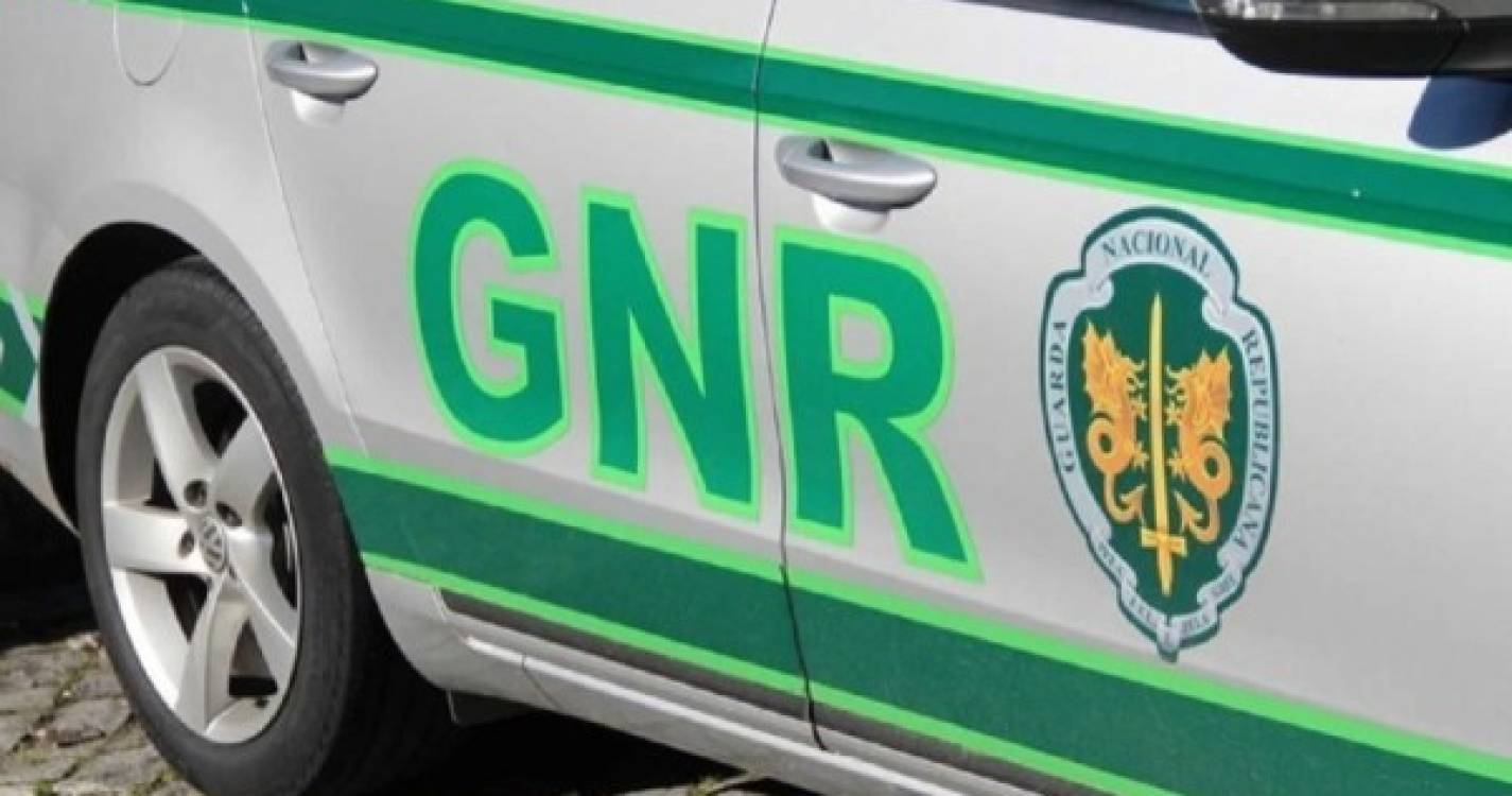 GNR aplica mais de 1.220 multas na operação 'Passageiros em Segurança'