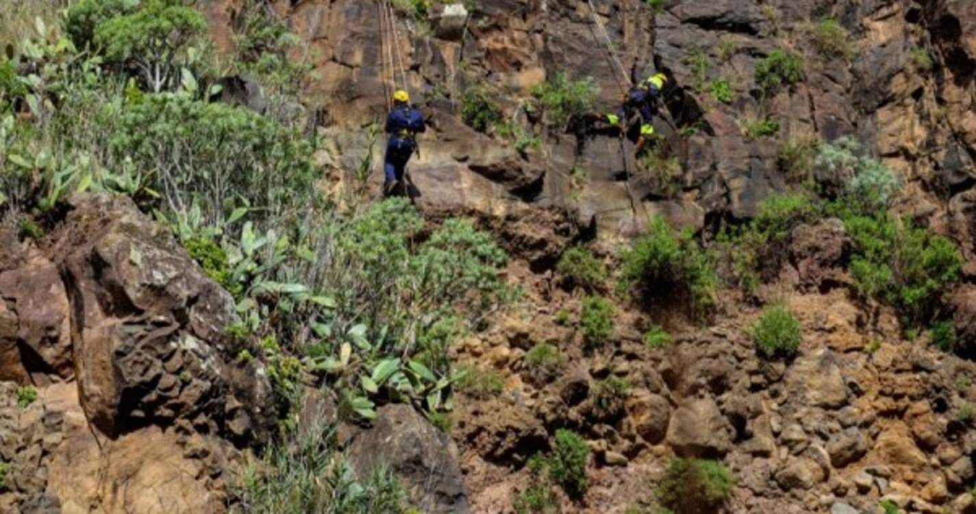 Ponta do Sol retoma limpeza da escarpa da Estrada dos Anjos a 3 de Abril