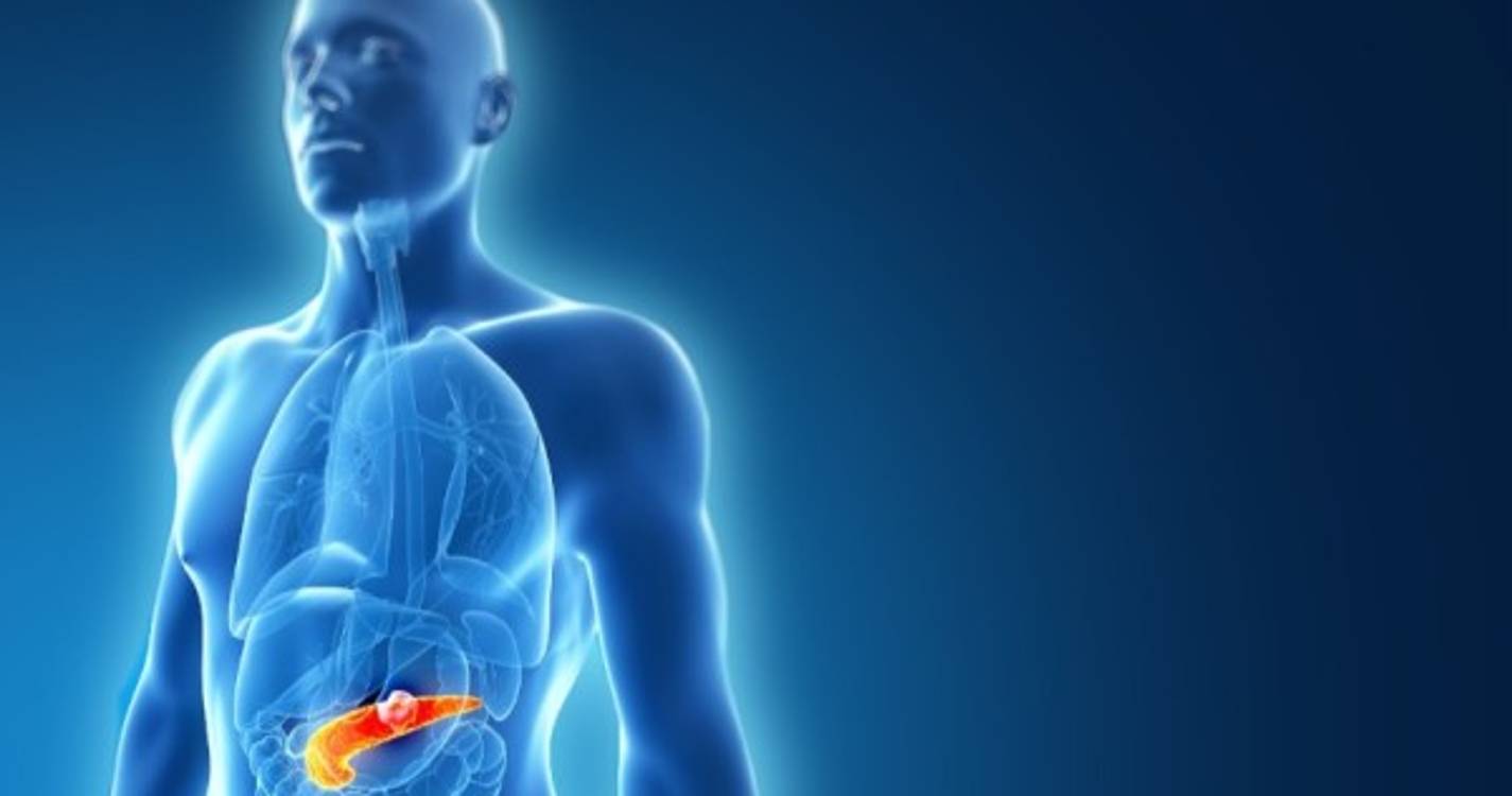 Tecnologia de modelação de tumores pancreáticos alvo de patente internacional