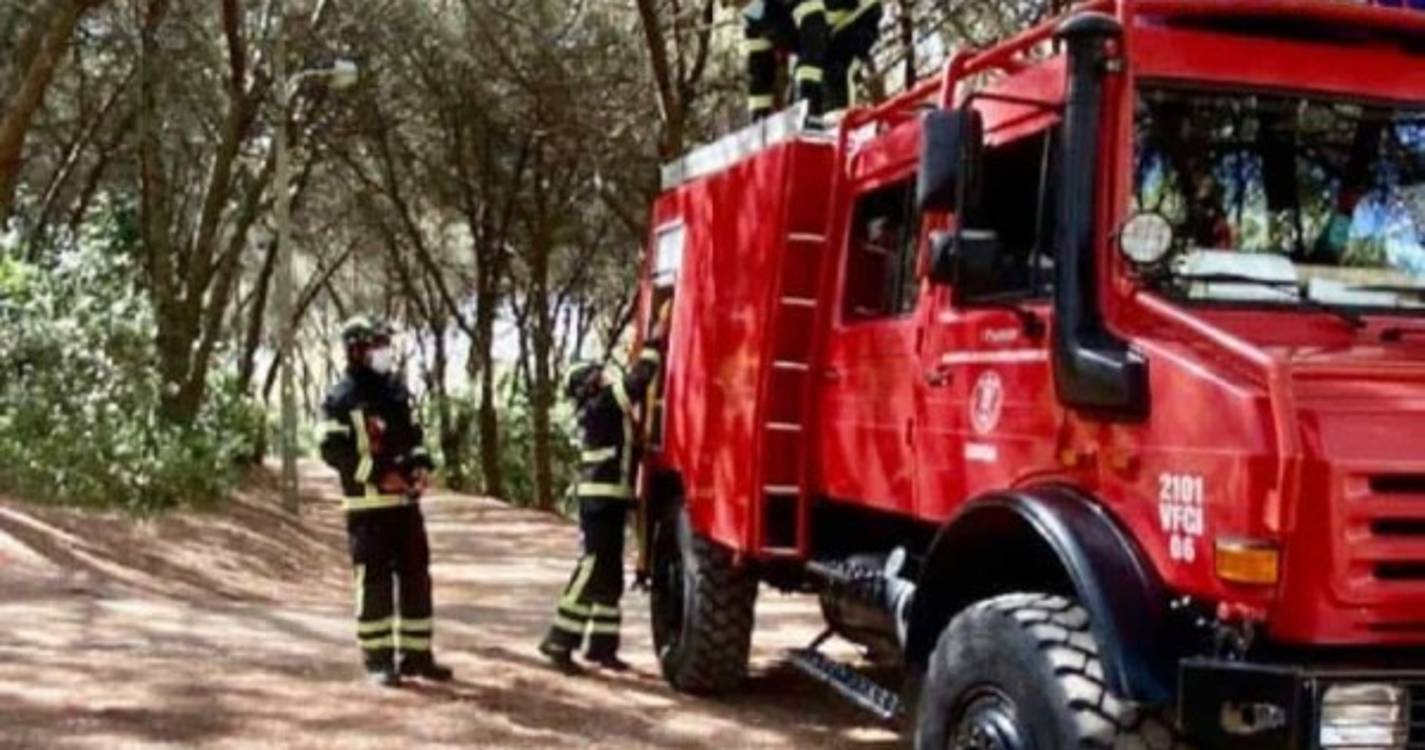 Incêndios: Governo aprova despesa para compra de 81 viaturas de combate