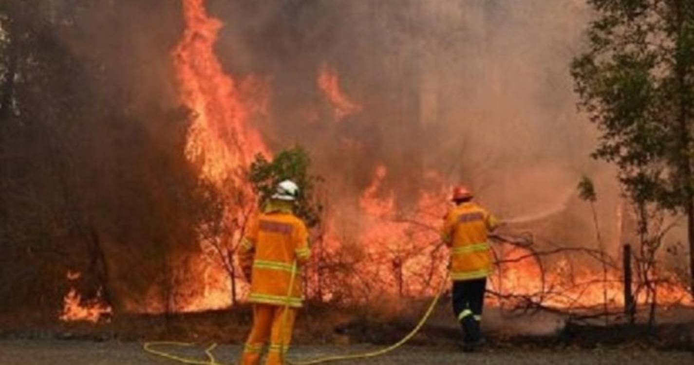 Incêndios: Fogo em Coimbra continua com duas frentes ativas às 07:15