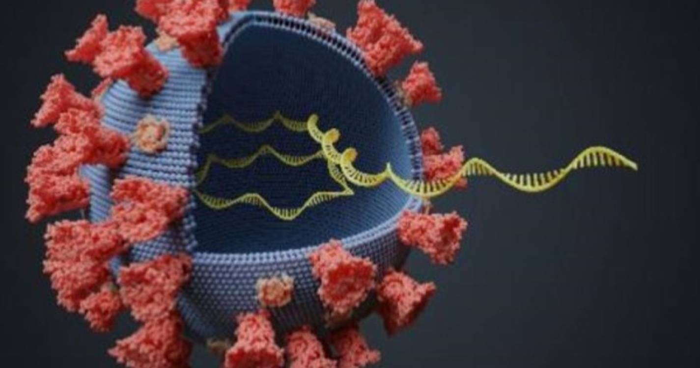 Variante Delta representa 98,6% dos casos em Portugal
