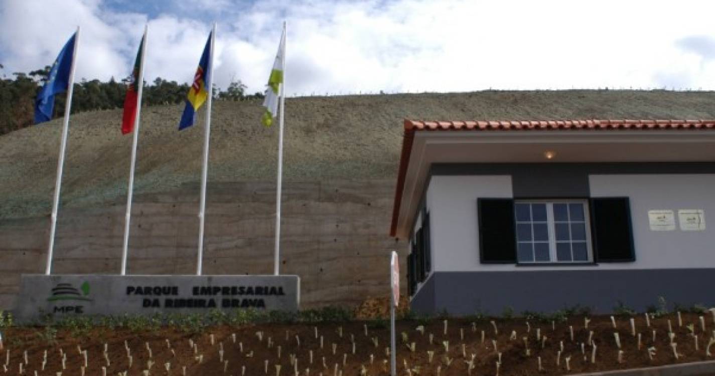 Conselho de Governo autoriza alienação de terreno no Parque Empresarial da Ribeira Brava