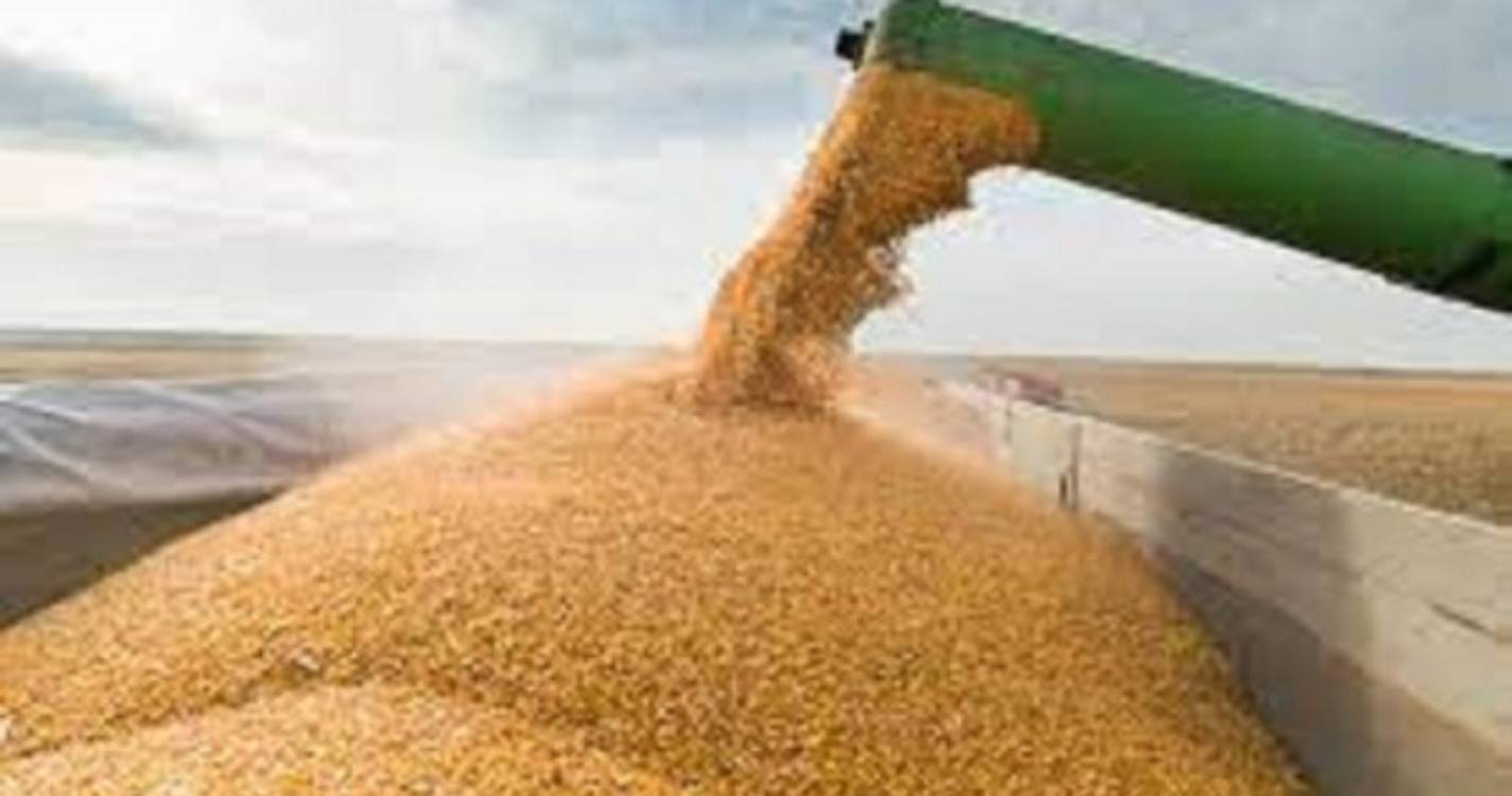 Moscovo prevê exportar 50 milhões de toneladas de cereais no próximo ano agrícola