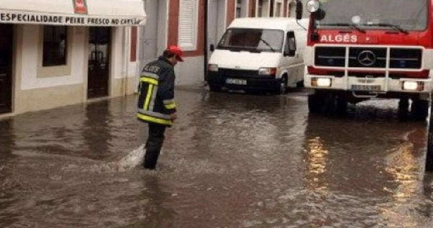 Tornado afeta zona de Alcântara, em Lisboa, causando danos em edifício do Banco Alimentar