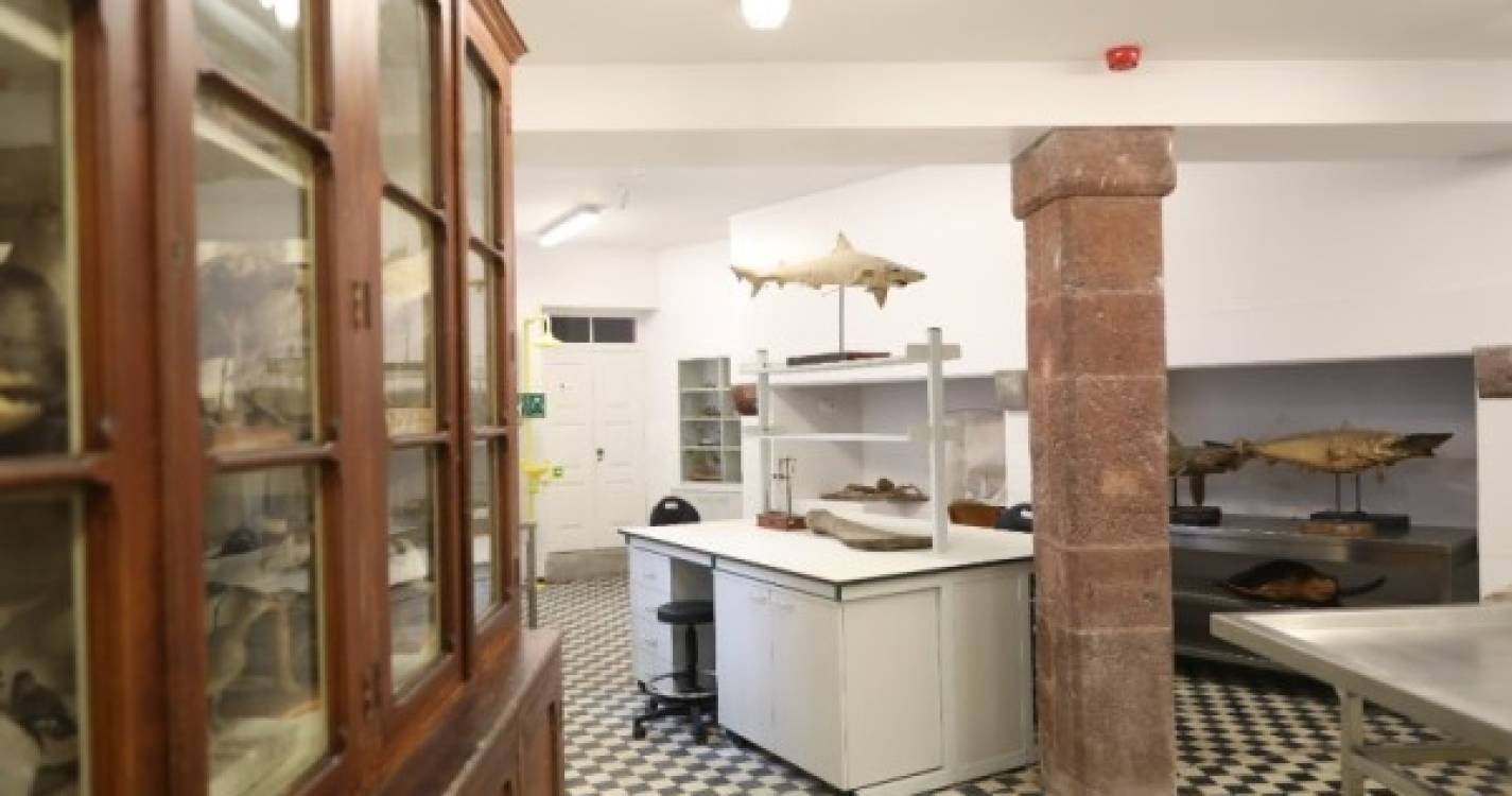 Museu de História Natural do Funchal encerra para combate a infestações de pragas