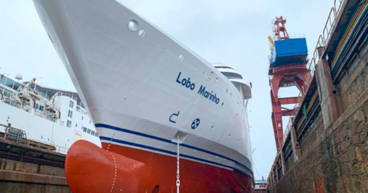 Intervenção no navio Lobo Marinho ascendeu a 1,5 milhões de euros
