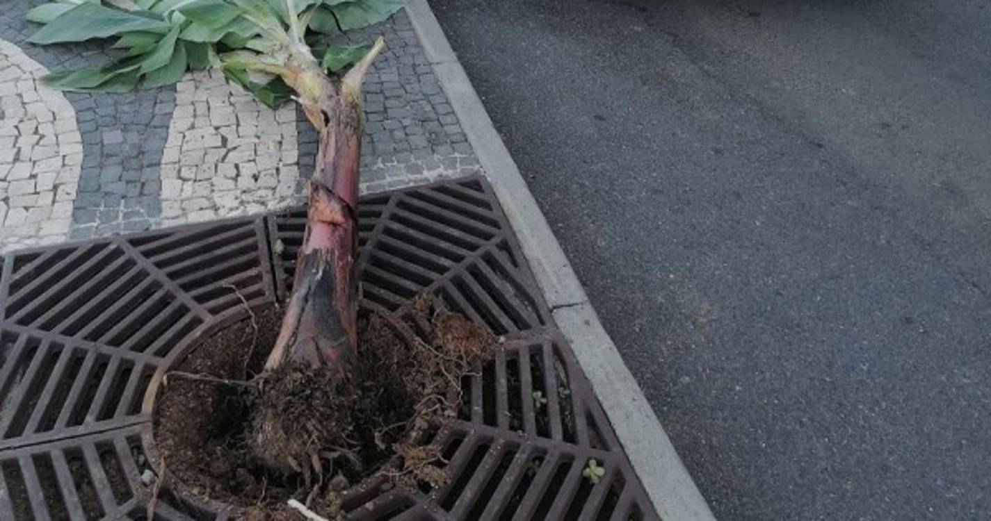 Junta de Freguesia do Paul do Mar denuncia atos de vandalismo