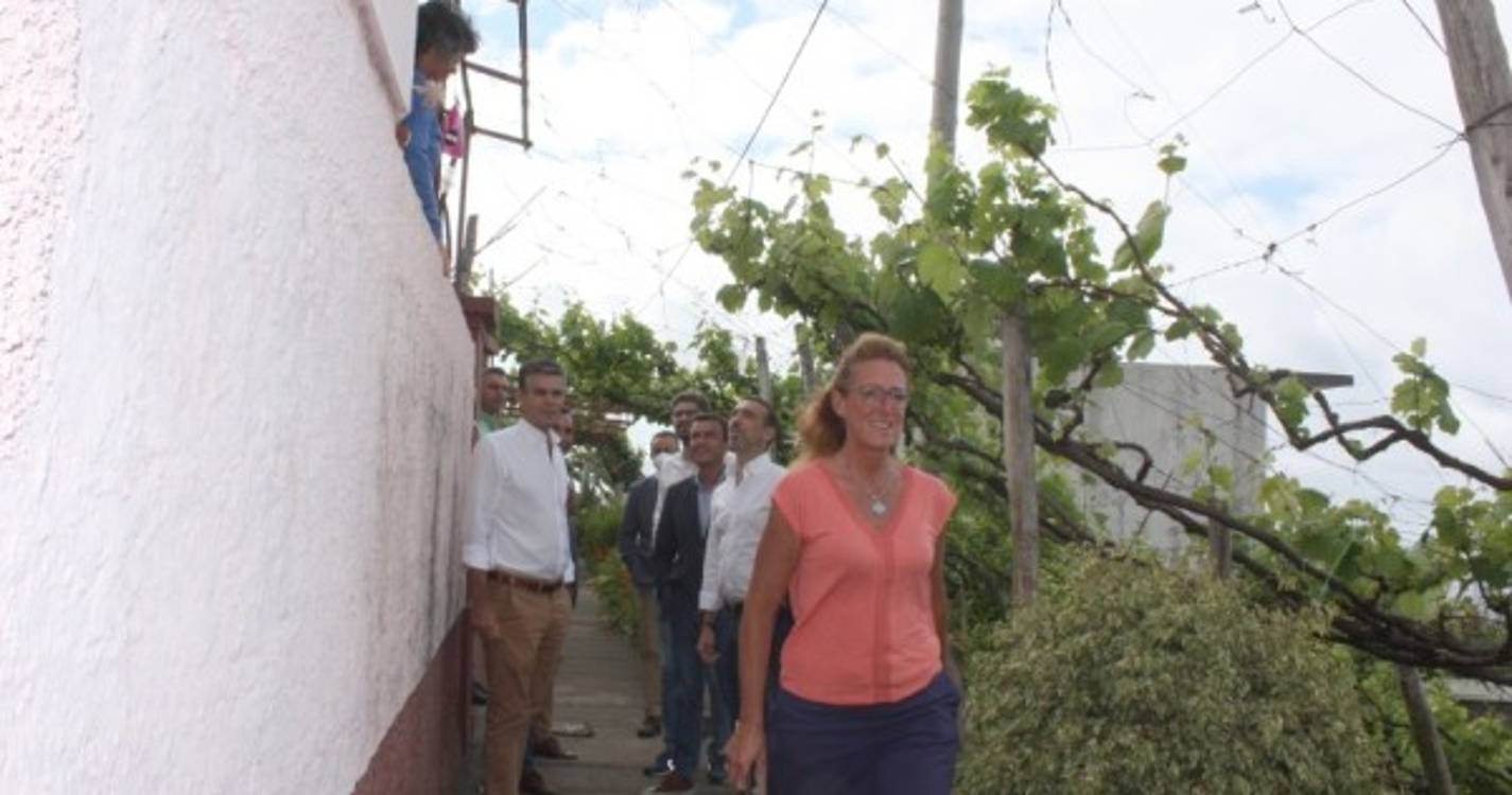 Participação das autarquias "vai potenciar oferta dos percursos pedestres", diz PSD