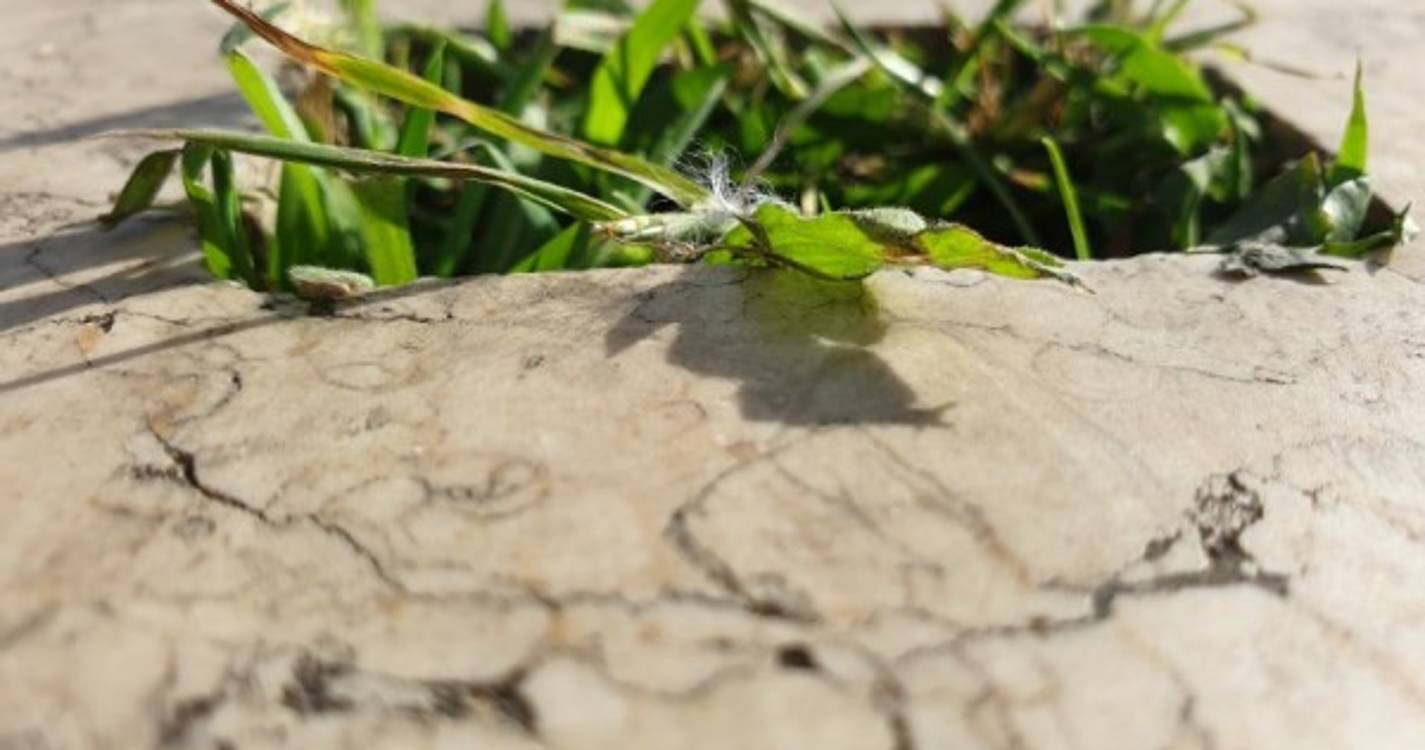 PORTA33 dinamiza atelier sensorial a partir de amanhã