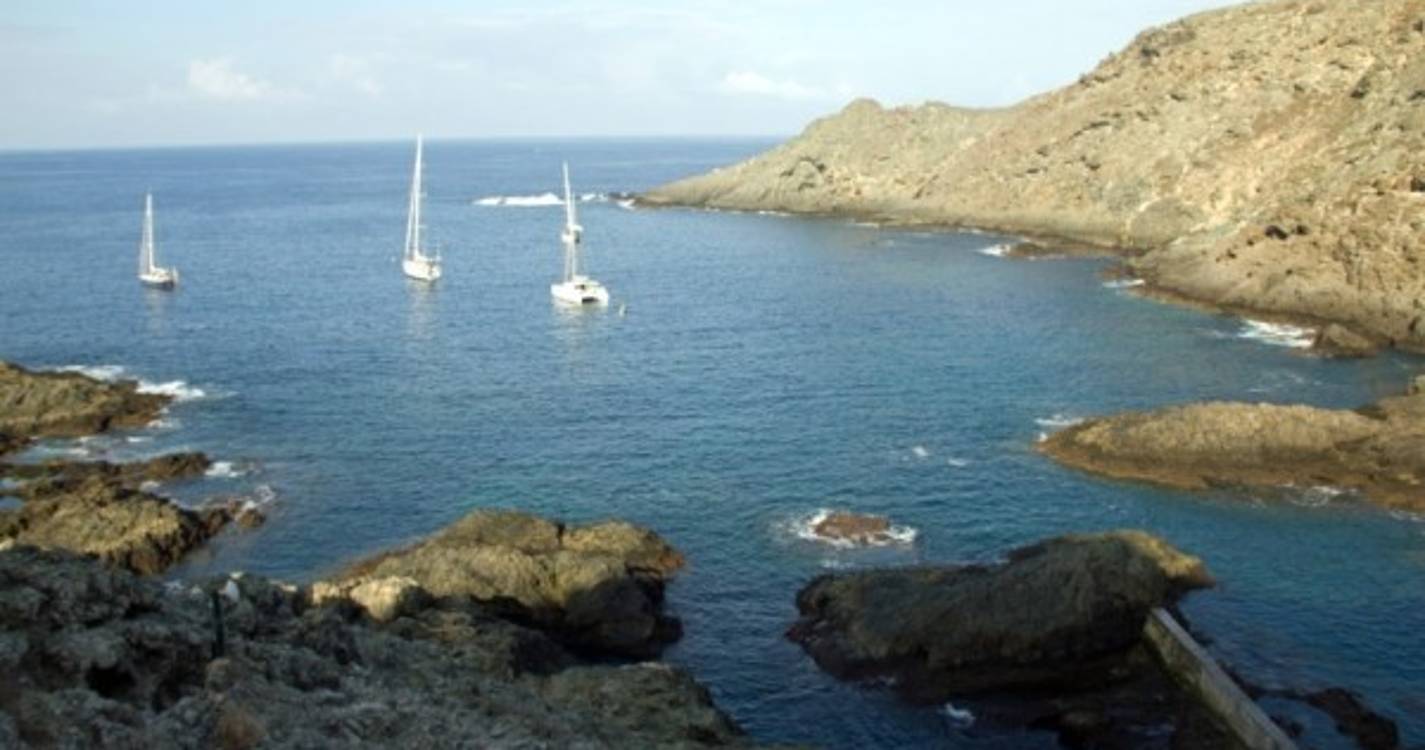 Polícia Marítima e Vigilantes da Natureza intentam providência cautelar contra a AMN