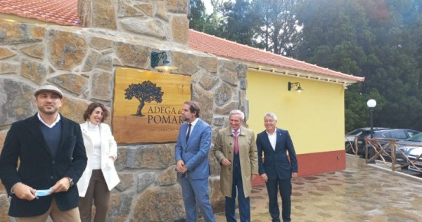 Adega do Pomar inaugurada hoje na Camacha (com fotos)