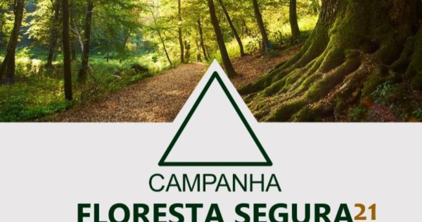 Campanha de sensibilização 'Floresta Segura 2021' da GNR arrancou segunda-feira