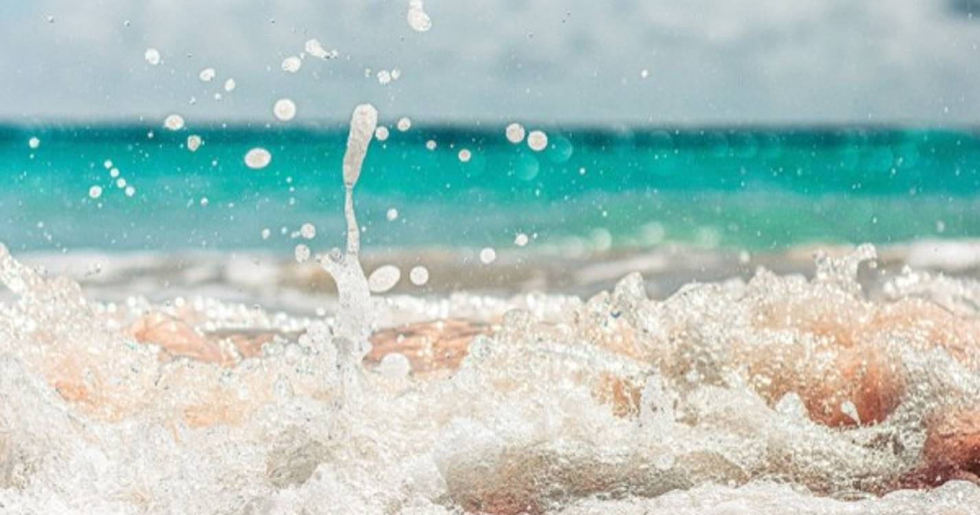 Conhecidos vencedores do concurso "Amar a Praia"