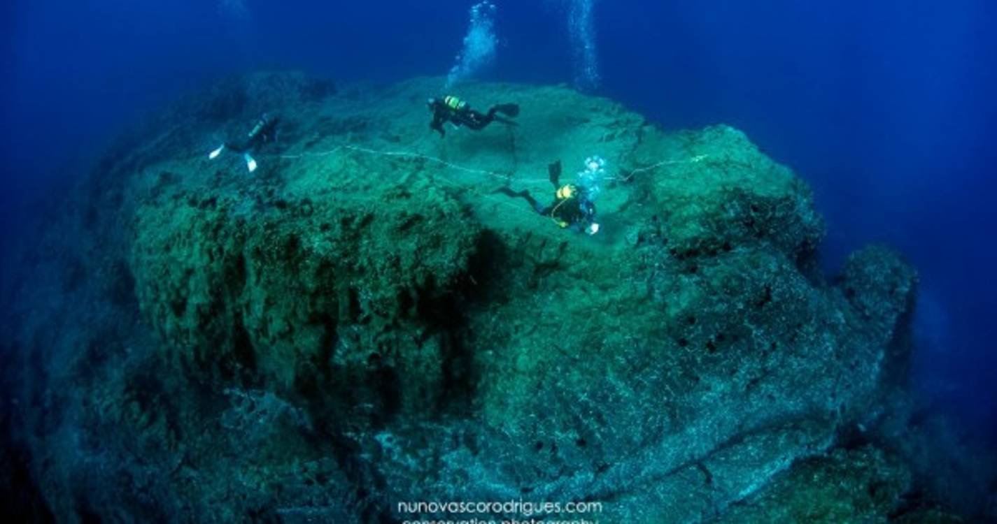 Foto do Porto Santo premiada pela ONU