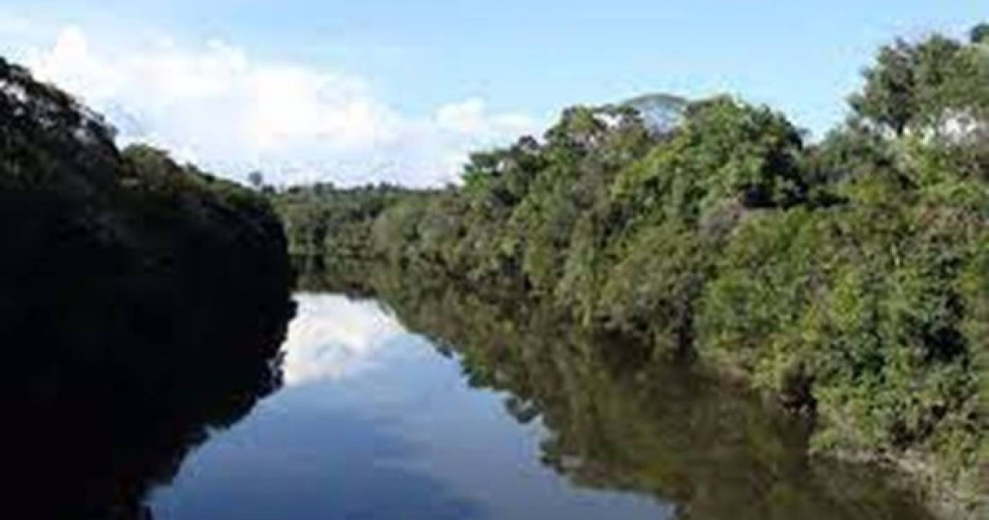 Brasil anuncia ações de fiscalização e pede recursos &#34;vultosos&#34; para proteger a Amazónia