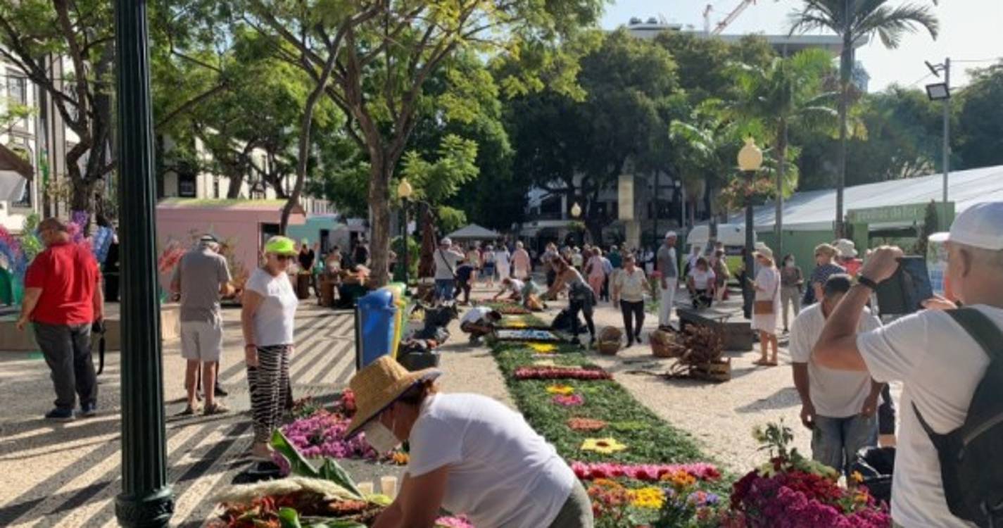Avenida Arriaga transformada numa palete de cores que não deixa ninguém indiferente (com fotos)