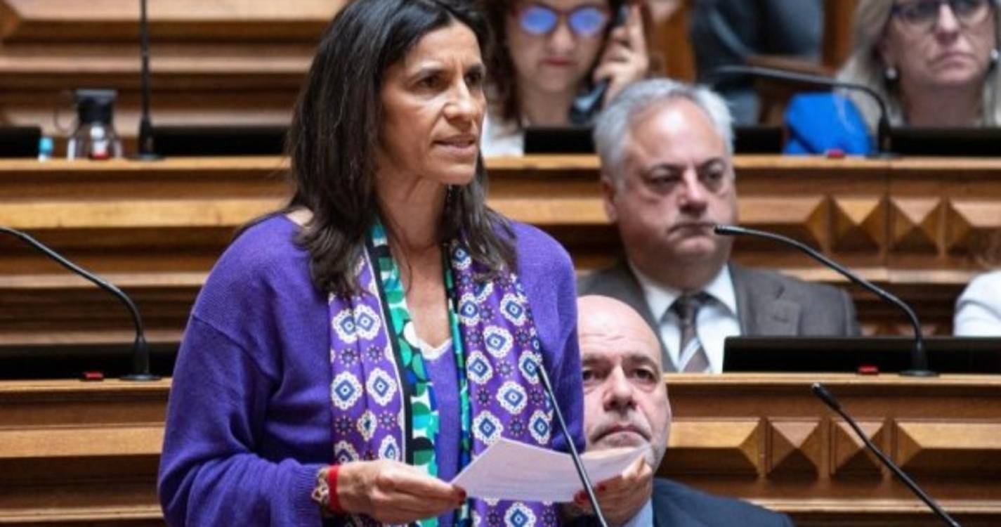 Patrícia Dantas reitera apelo à admissão de novas empresas no CINM