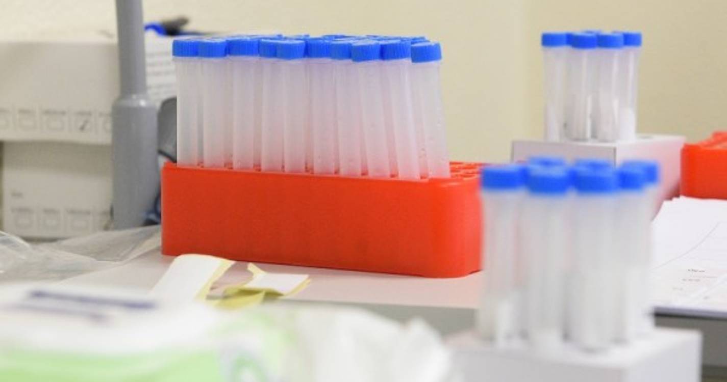 Covid-19: Mais 12 casos detetados em nove escolas da Região