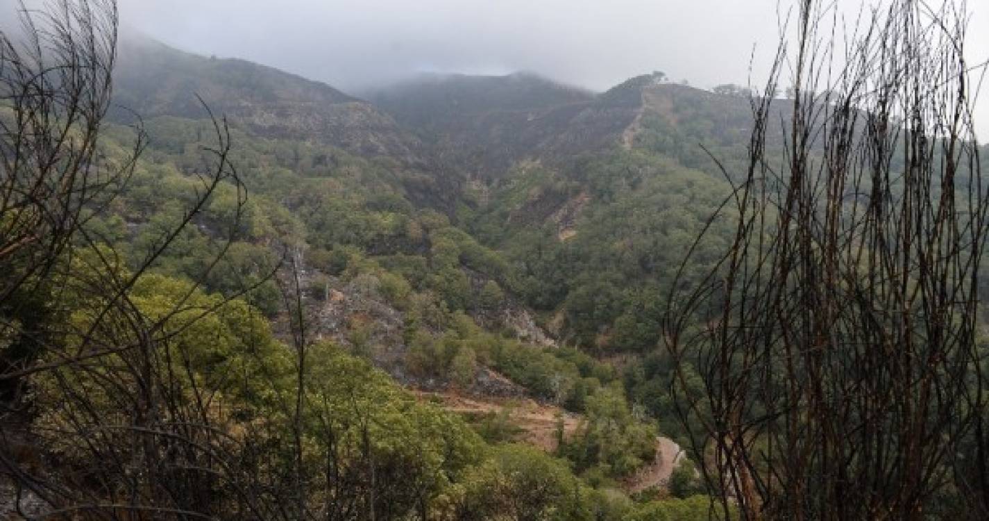 Áreas de lazer em espaço florestal reabertas na Madeira