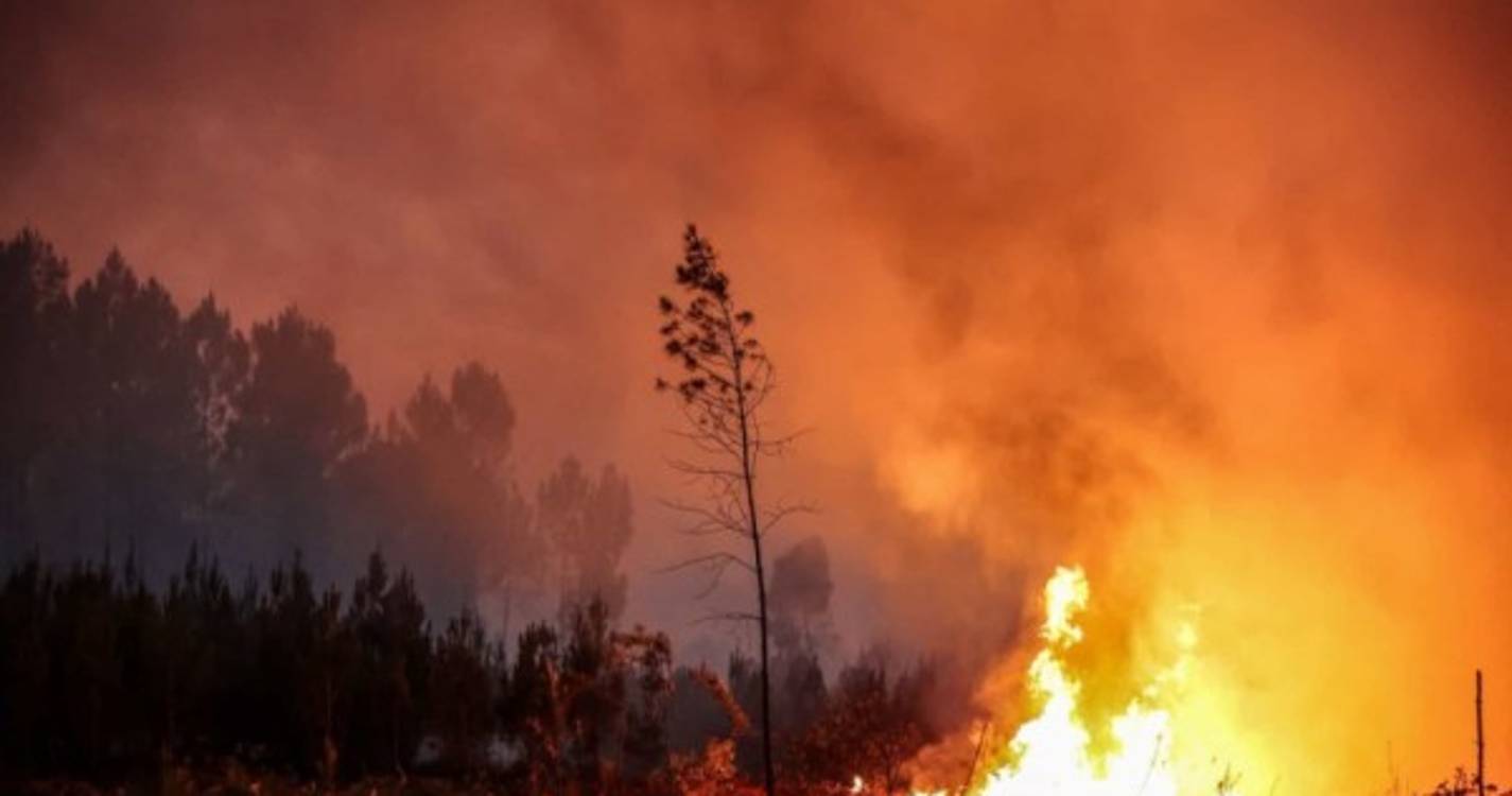 Incêndios: Trinta e cinco concelhos de sete distritos em perigo máximo